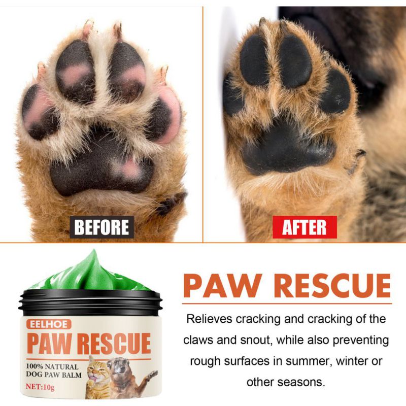 Balm for dog paws in winter best sale