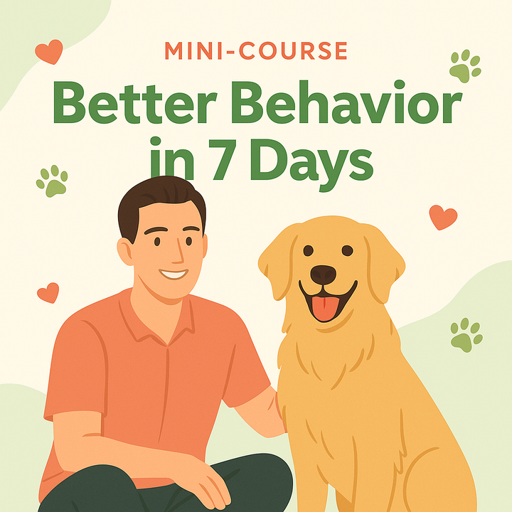 Mejor comportamiento en 7 días – Mini curso de adiestramiento canino