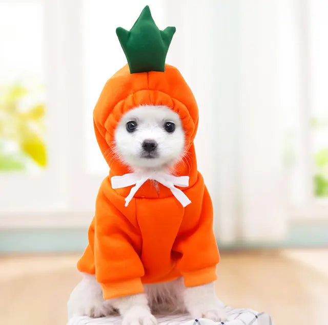 WagHoodie™ - Sudadera con Capucha Animal Frutal (Perros/Gatos)