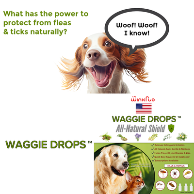 Winkflo flea online and tick collar