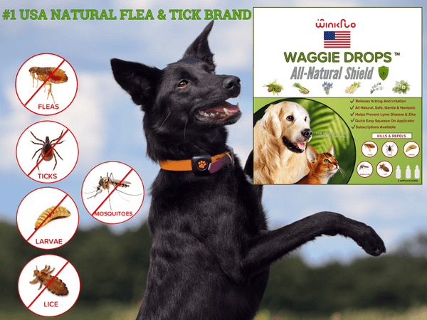 Winkflo flea top and tick collar
