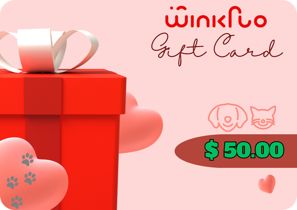 Winkflo - E-Gift Card 🎁