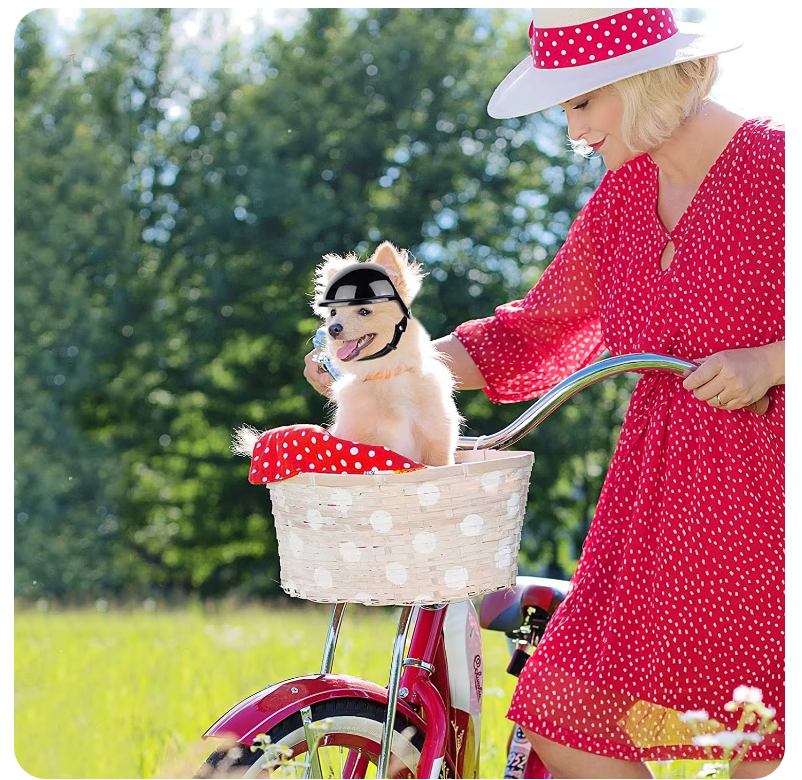 WagHelmet™ - Classic Motorcycle Head Protection (For Dogs and Cats