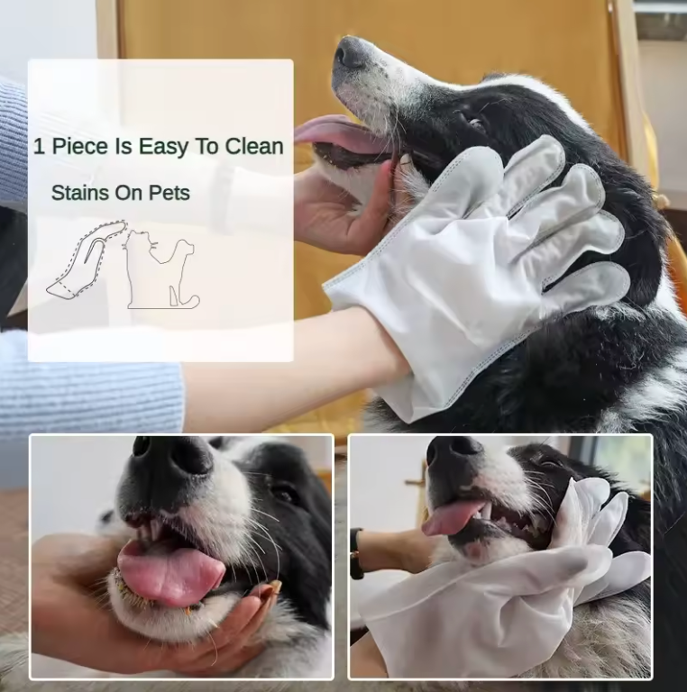 A glove wipe being used to clean a dog’s coat