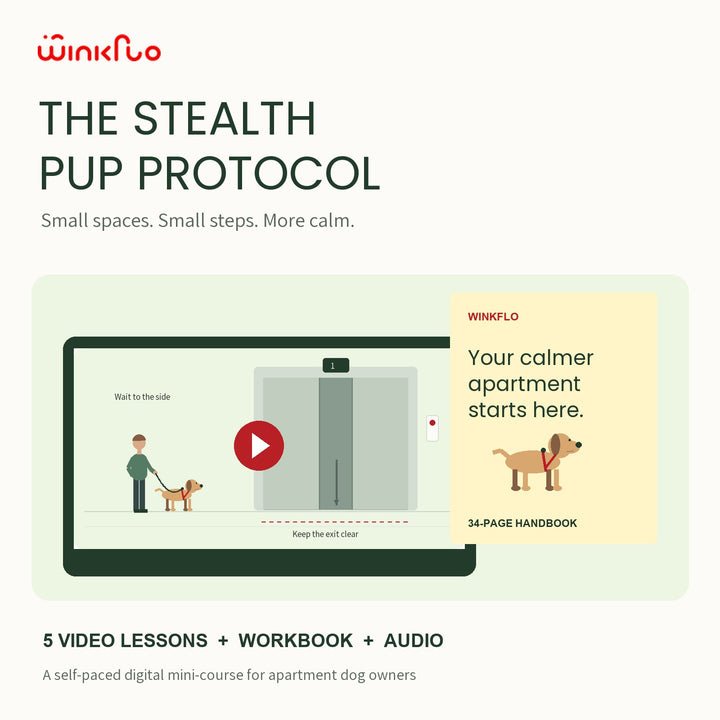 Winkflo Stealth Pup Protocol digital bundle: five apartment dog lessons, audio, and a 34-page handbook.