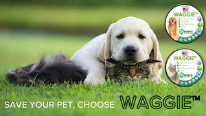 Waggie flea and tick collar cheap