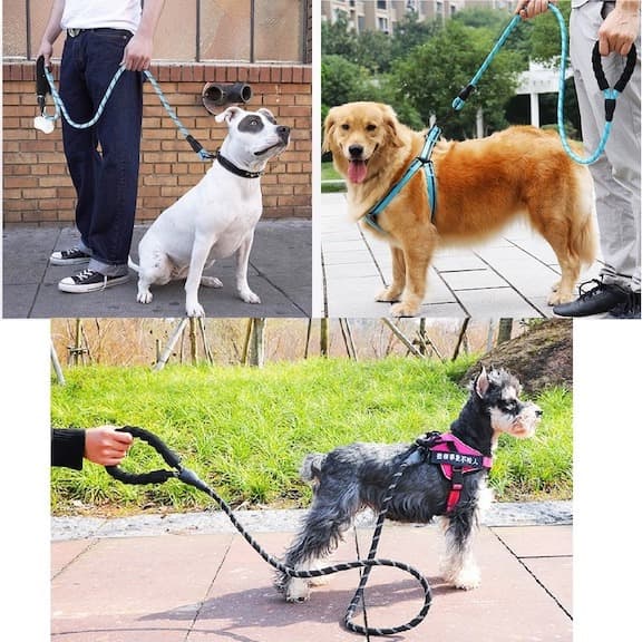 WagLeash™ - Reflective Rope Leash (All-Size Dogs)