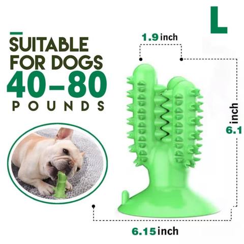 WagChew™ - Dog Toothbrush Cactus Toy