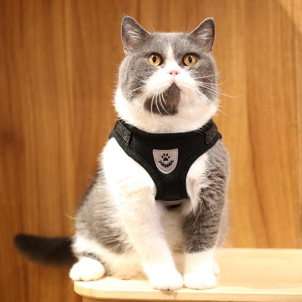 WagVest™ - Reflective Pet Harness (Adjustable & Breathable) + FREE Leash!
