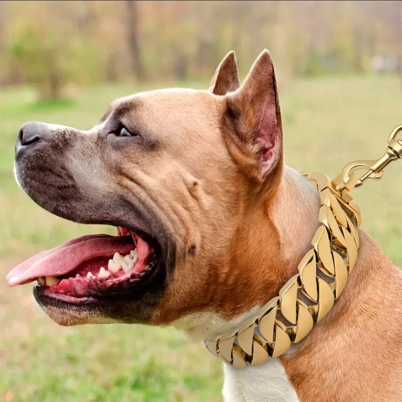 Gold Dog Chain Collar Pet Puppy Choker Necklace for Pitbull French