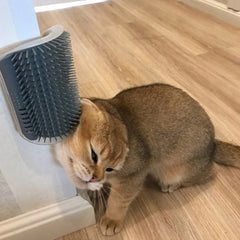 Corner face scratcher for cats shop