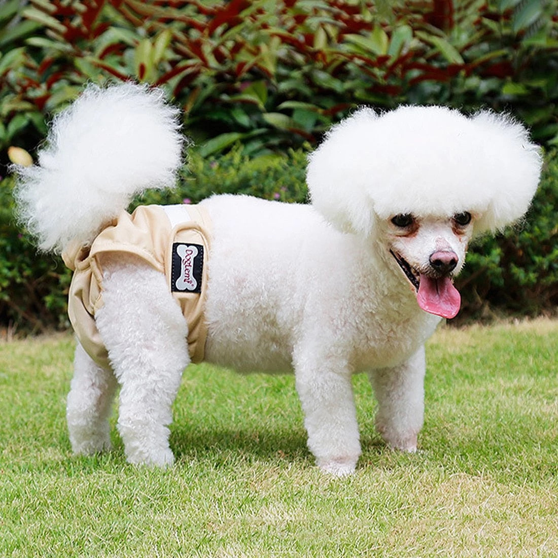 WagDiaper™ - Washable Diapers for Dogs & Cats (Heat)