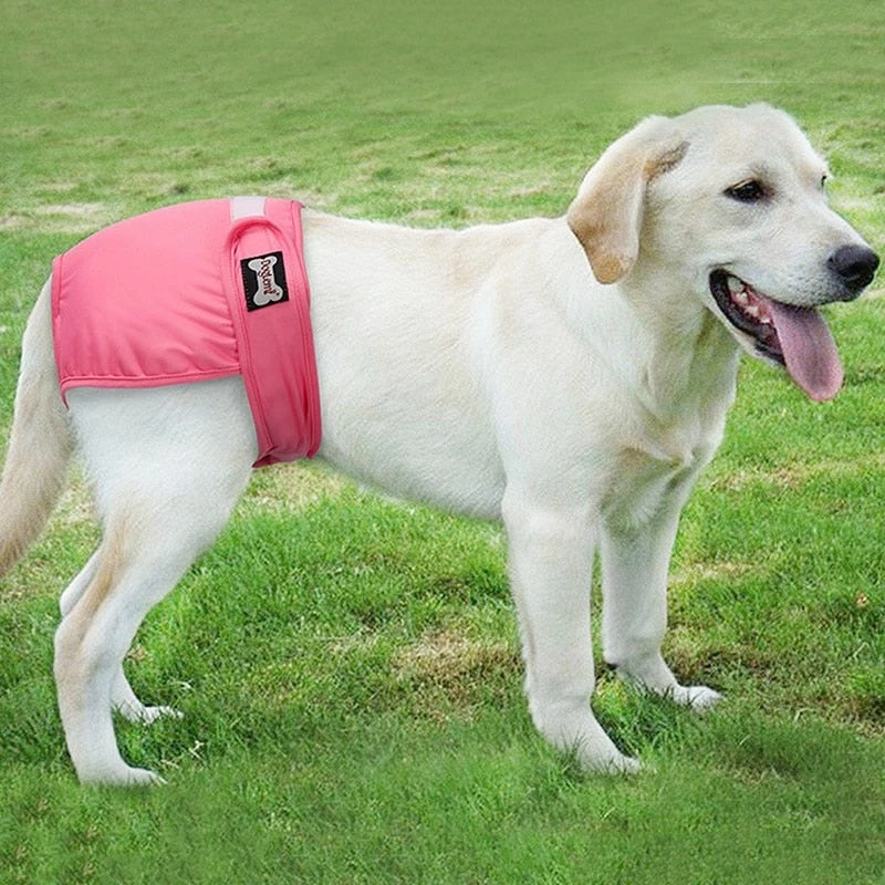 WagDiaper™ - Washable Diapers for Dogs & Cats (Heat)