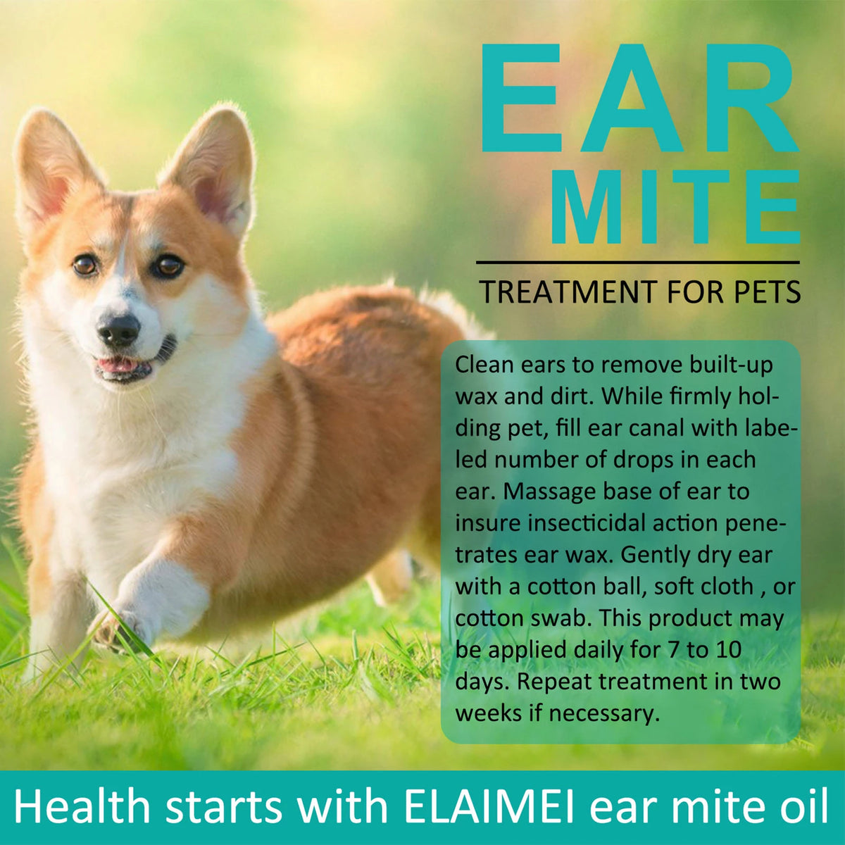 WagMites™️ - Natural Ear Cleaner & Mite Treatment (For Sensitive Pets ...