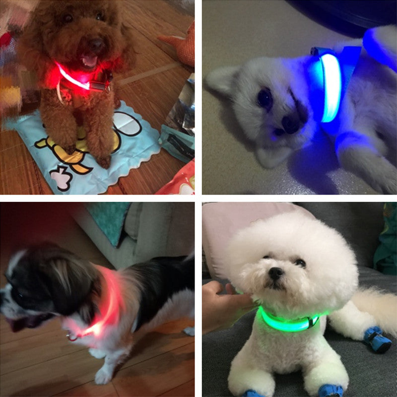 GloWag™ - LED Dog Collar