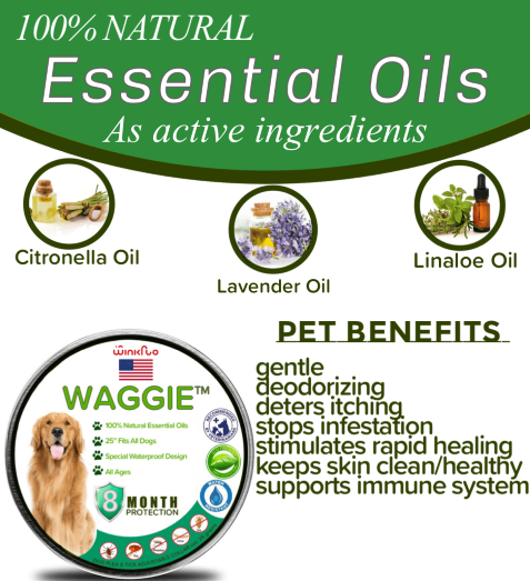 Waggie Natural Anti Flea Tick Mosquito Collar Safest 8 Months Protection