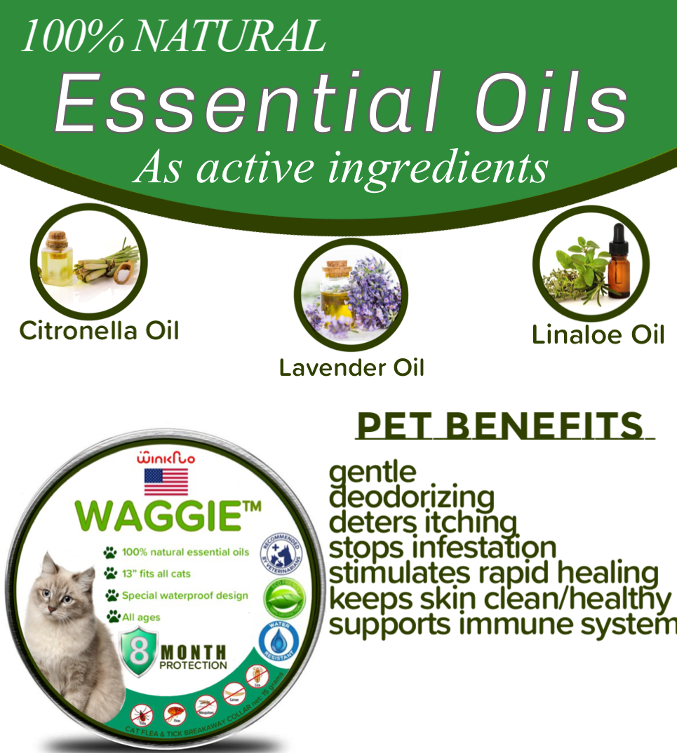 Winkflo flea online and tick collar