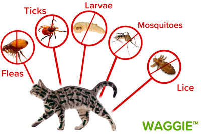 Waggie™ - Natural Anti-Flea, Tick, & Mosquito Collar For Cats (Break-Away)