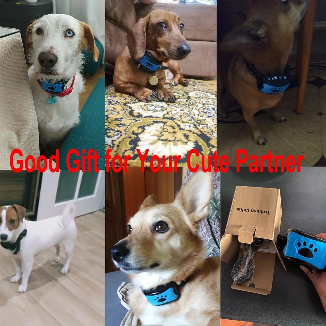 best vibrating dog collar for barking Amazon.com : PetSafe Audible Bark Dog Collar, Humanely Stop Barking,  Alternative to Static Shock No Bark Collar, 10 Levels of Safe Correction  for Small, Medium & Large Dogs Over 8 lb, Rechargeable main image 1