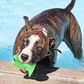 WagChew™ - Dog Toothbrush Cactus Toy