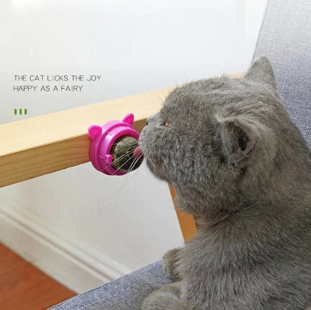 WagLick™ - Natural Catnip Ball Treat (Pro-Digestion/Hairball Remover)