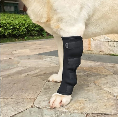 WagBrace™ - Knee Brace Support For Dogs (Adjustable)