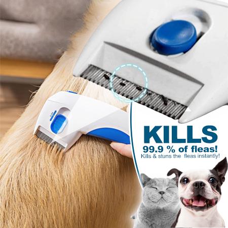 Dog comb that kills fleas hotsell